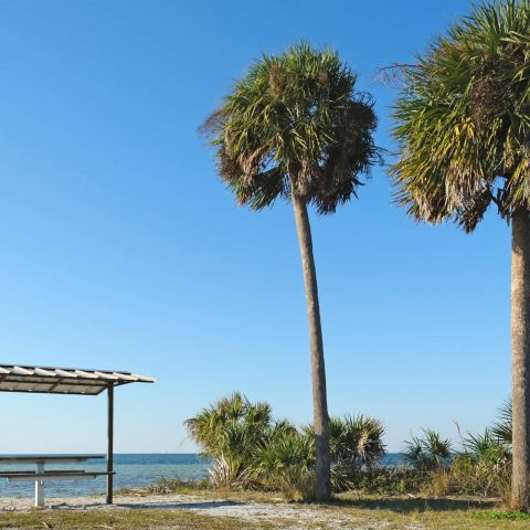 Shadetree Apartments Group Yoga Class