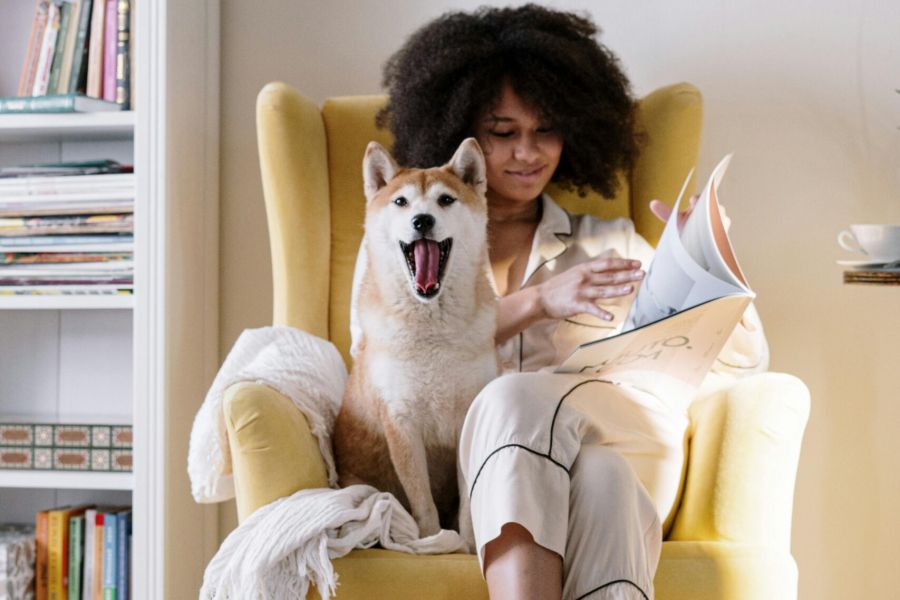 Shadetree Apartments with A woman in pajamas reads in a yellow chair with a yawning dog beside her in a cozy living room.