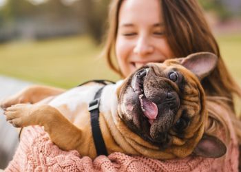 Shadetree Apartments with Smiling woman cuddling a happy French Bulldog outdoors on a sunny day.