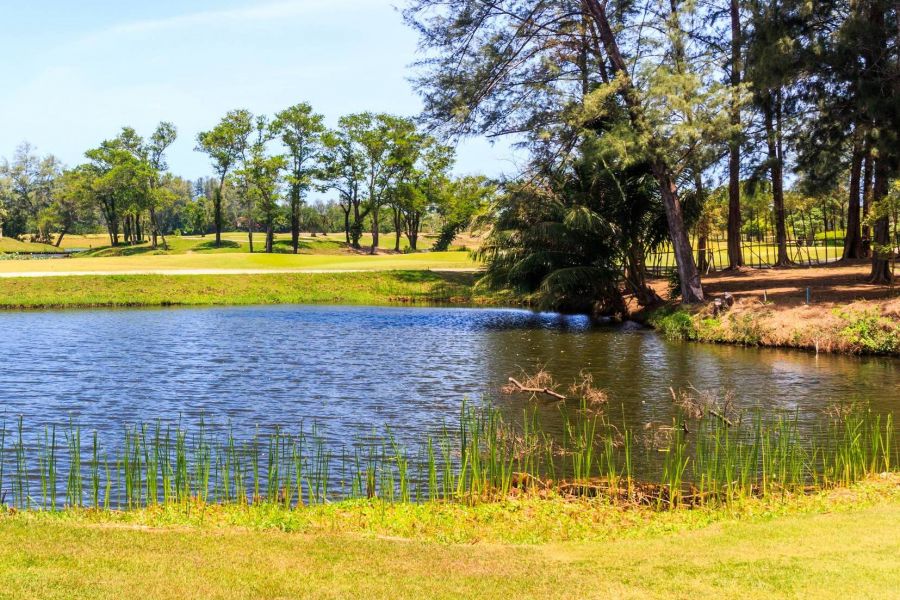 Shadetree Apartments with a golf course with a lagoon and palm trees