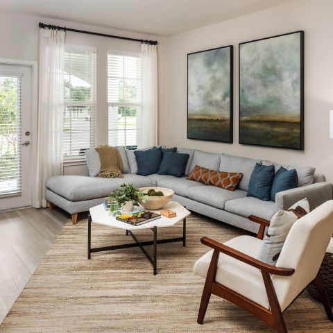 Shadetree Apartments Modern Spacious Living Room