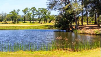 Cypress Creek Golf Club