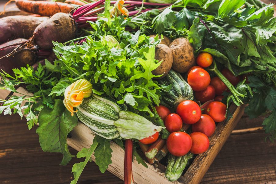 Shadetree Apartments with an assortment of fresh organic vegetables and garden produce on farmer market, healthy diet with vegetarian ingredients