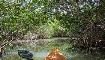 Little Manatee River State Park